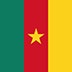 Flag of Cameroun